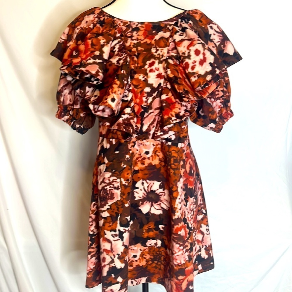 Floral Ruffle Sleeve Dress - Picture 4 of 8